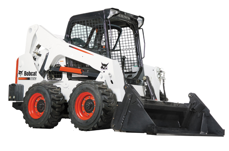 bobcat